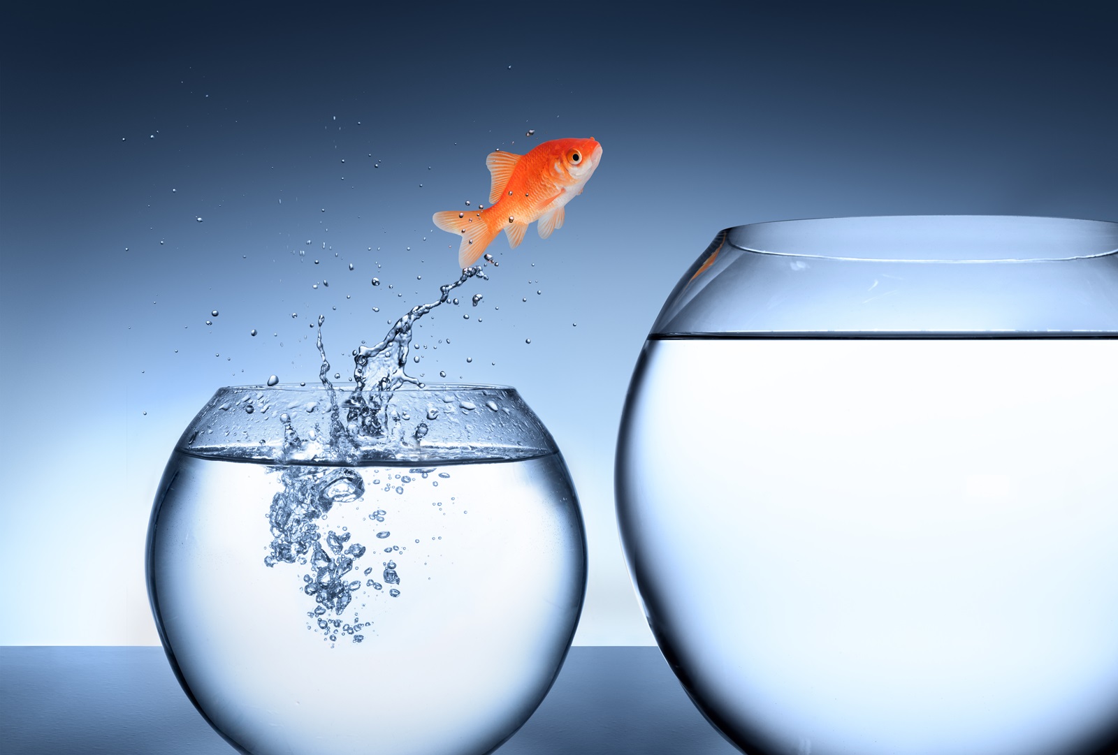 Ilustrando mudança, imagem mostra peixe pulando de um aquário para outro